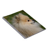 ポメラニア犬のHeadshot 2 ノートブック (右側)