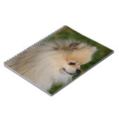 ポメラニア犬のHeadshot 2 ノートブック (左側)