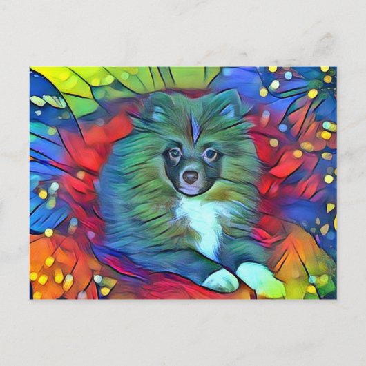 ポメラニア犬はがき ポストカード (正面)
