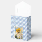 ポメラニア犬インデイジー絵画ズ – オリジナルドッグアート フェイバーボックス (オープン)