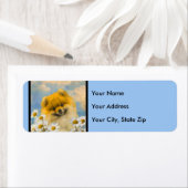 ポメラニア犬インデイジー絵画ズ – オリジナルドッグアート ラベル (インサイチュ)