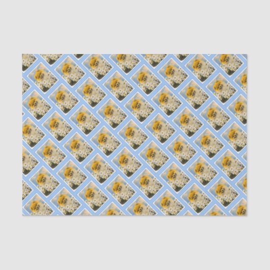 ポメラニア犬インデイジー絵画ズ – オリジナルドッグアート 薄葉紙 (正面)