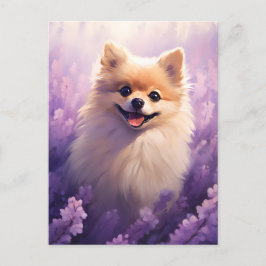 ポメラニア犬インラベンダーフィールド ポストカード