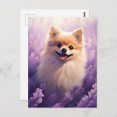 ポメラニア犬インラベンダーフィールド ポストカード (正面/裏面)