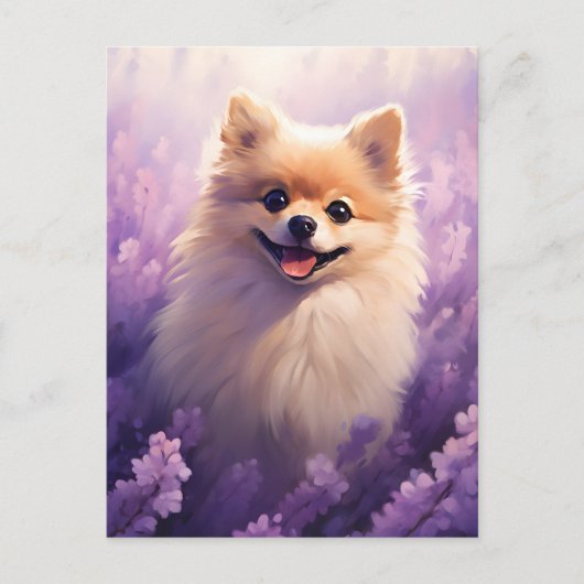 ポメラニア犬インラベンダーフィールド ポストカード (正面)