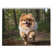 ポメラニア犬カレンダー2025 カレンダー (カバー)