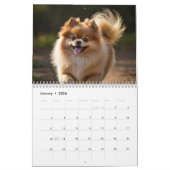 ポメラニア犬カレンダー2025 カレンダー (1月 2026)