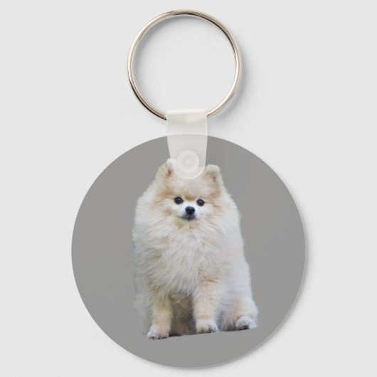 ポメラニア犬キーチェーン キーホルダー (正面)