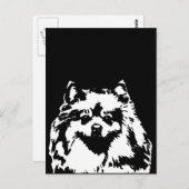 ポメラニア犬ギフト – はがき (正面/裏面)