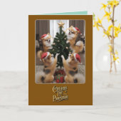 ポメラニア犬クリスマスツリー カード (黄色い花)