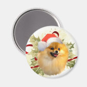ポメラニア犬クリスマスマグネット マグネット (正面/裏面)