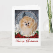 ポメラニア犬クリスマス シーズンカード (正面)