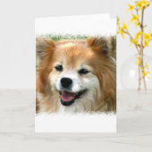ポメラニア犬グリーティングカード カード (黄色い花)
