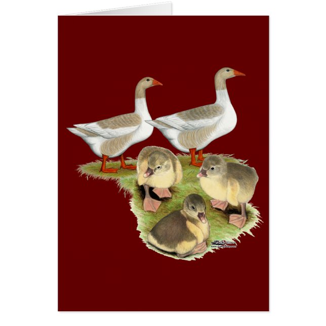 ポメラニア犬グースファミリー (正面)