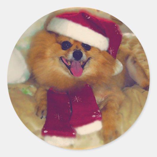 ポメラニア犬サンタクリスマスシール ラウンドシール (正面)