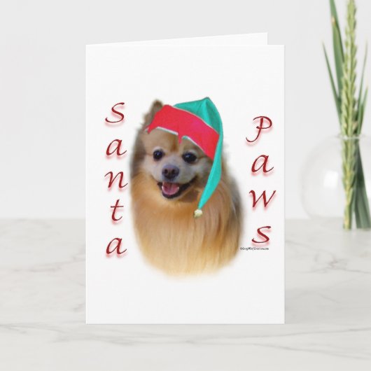ポメラニア犬サンタポーズ シーズンカード (正面)