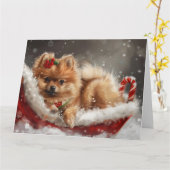 ポメラニア犬ドッグクリスマスフェスティバル カード (黄色い花)