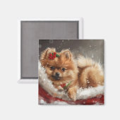 ポメラニア犬ドッグクリスマスフェスティバル マグネット (正面/裏面)