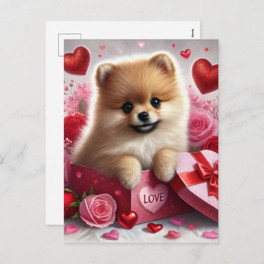 ポメラニア犬ドッグバレンタインズデイホリデーハガキ シーズンポストカード (正面/裏面)
