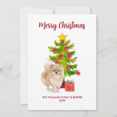 ポメラニア犬ドッグファミリークリスマス シーズンカード (正面)