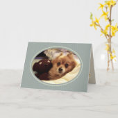 ポメラニア犬ハッピーバースデーの希望 カード (黄色い花)