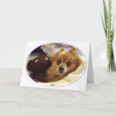 ポメラニア犬ハッピーバースデーカード カード (裏面)