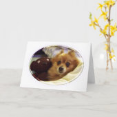 ポメラニア犬ハッピーバースデーカード カード (黄色い花)