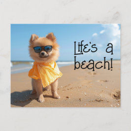 ポメラニア犬パピー着用サングラス葉書 ポストカード