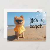 ポメラニア犬パピー着用サングラス葉書 ポストカード (正面/裏面)