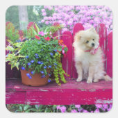 ポメラニア犬パピー素朴ベンチコテージガーデンシーン スクエアシール (正面)