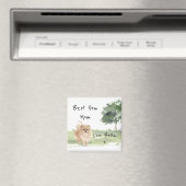 ポメラニア犬パーソナライズされた磁石 マグネット (インサイチュ (食洗機))