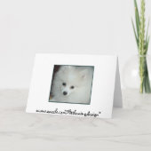 ポメラニア犬パーティー服～誕生日カード カード (裏面)