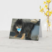 ポメラニア犬パーティー服～誕生日カード カード (黄色い花)