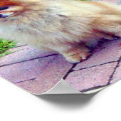 ポメラニア犬プリントまたはポスター ポスター (角)