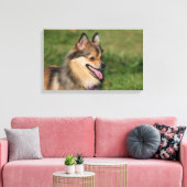 ポメラニア犬ヘッドショットパンティング キャンバスプリント (インサイチュ (リビング))