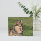 ポメラニア犬ヘッドショットパンティング ポストカード (スタンド正面)