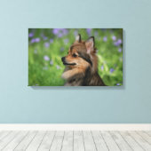 ポメラニア犬ヘッドショット座 キャンバスプリント (インサイチュ (ウッドフロア))