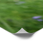 ポメラニア犬ヘッドショット座 ポスター (角)