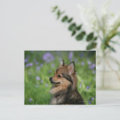 ポメラニア犬ヘッドショット座 ポストカード (スタンド正面)