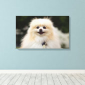 ポメラニア犬ヘッドショット1 キャンバスプリント (インサイチュ (ウッドフロア))