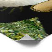 ポメラニア犬ペア3 – モナリザ ポスター (角)