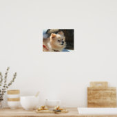 ポメラニア犬ポスター ポスター (キッチン)