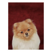 ポメラニア犬ポスター ポスター (正面)
