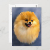 ポメラニア犬ポートレートはがき ポストカード (正面/裏面)