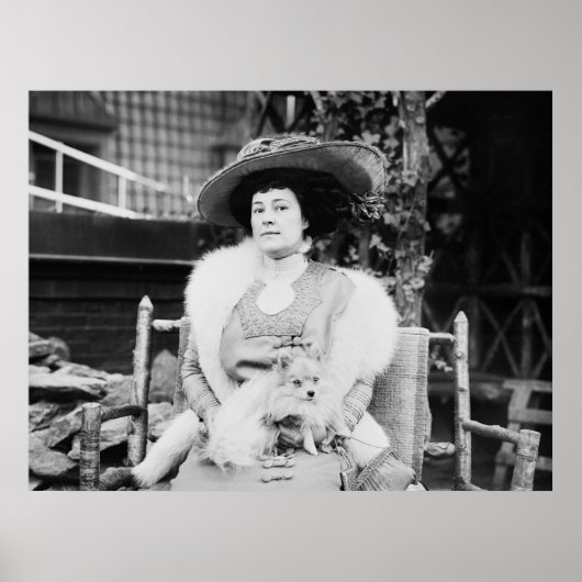 ポメラニア犬レディ、1900年代初期 ポスター (正面)