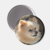 ポメラニア犬円磁石 マグネット (正面/裏面)