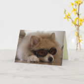 ポメラニア犬友情カード カード (黄色い花)