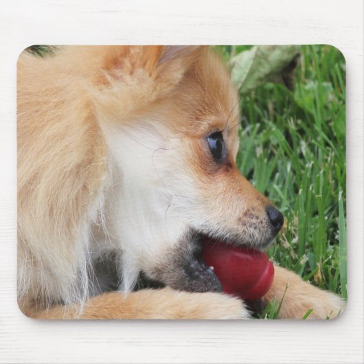 ポメラニア犬子犬とボール マウスパッド (正面)