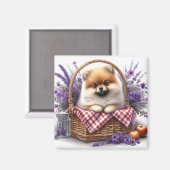 ポメラニア犬子犬の水の色ワイルドフラワーピクニック マグネット (正面/裏面)