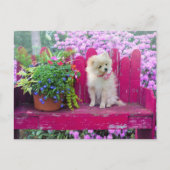 ポメラニア犬子犬コテージガーデンシーン ポストカード (正面)